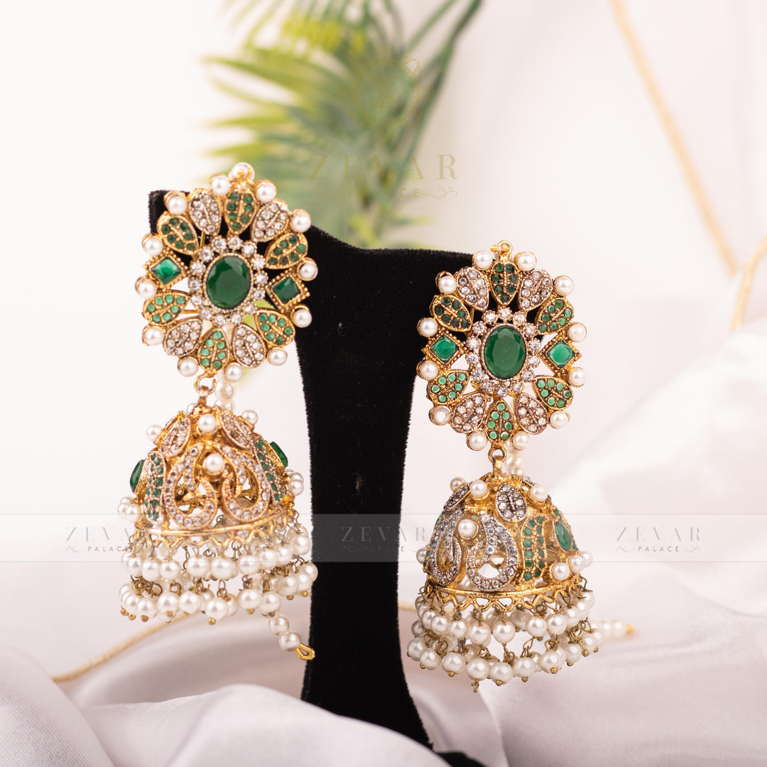 Stunning Earrings - 206