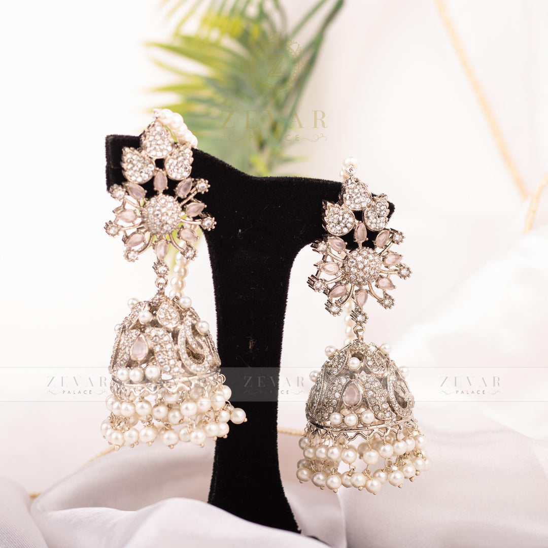 Stunning Earrings - 206