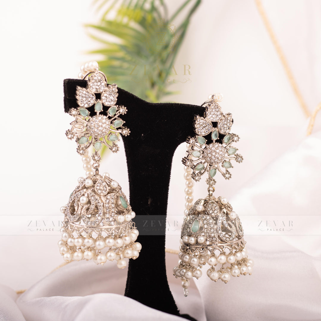 Stunning Earrings - 206