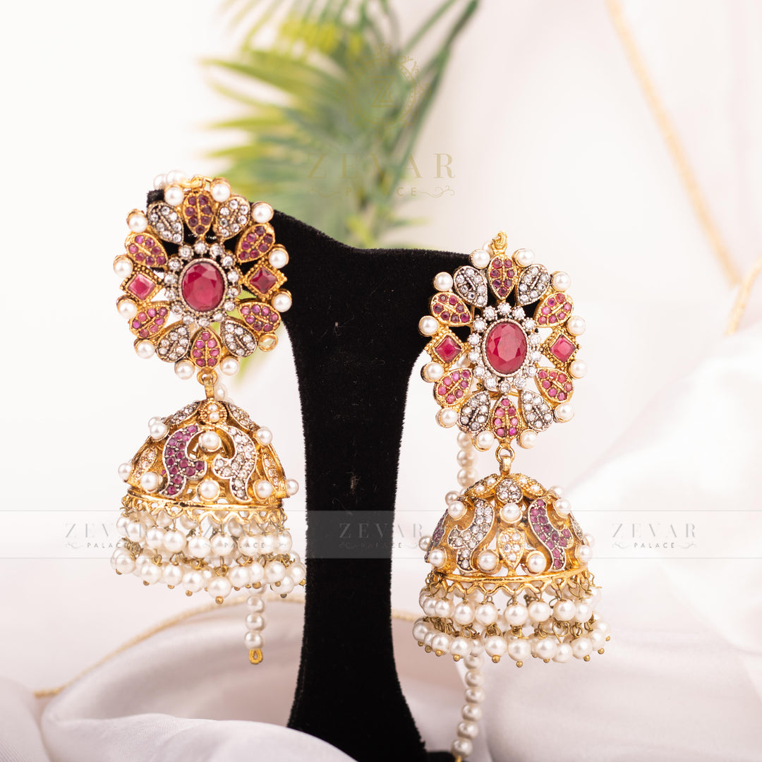 Stunning Earrings - 206