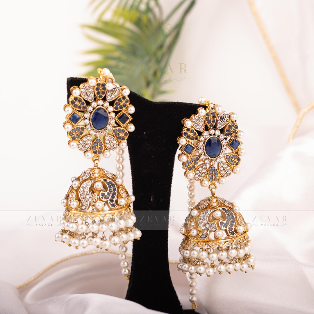 Stunning Earrings - 206