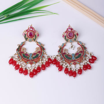 Elegant  Multi Earrings